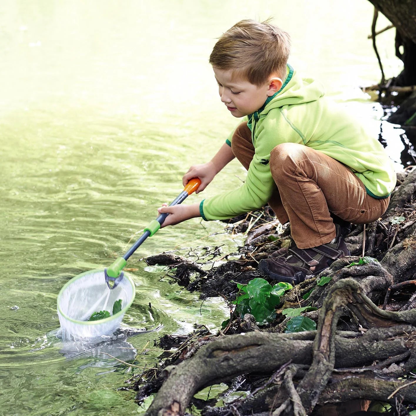 Terra Kids - Scoop Net with Sturdy Adjustable Handle - Great for Land & Water