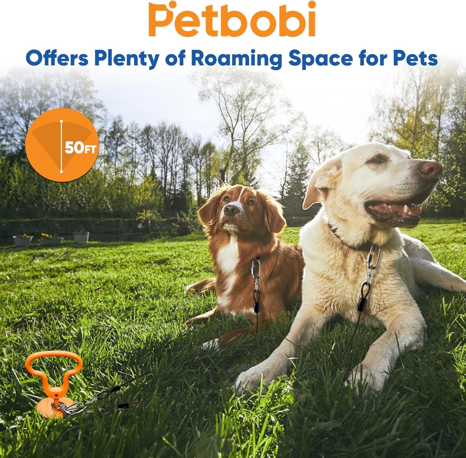 Heavy Duty Dog Tie Out Cable and Stake - 50FT Steel Wire Dog Leads for Large Dog